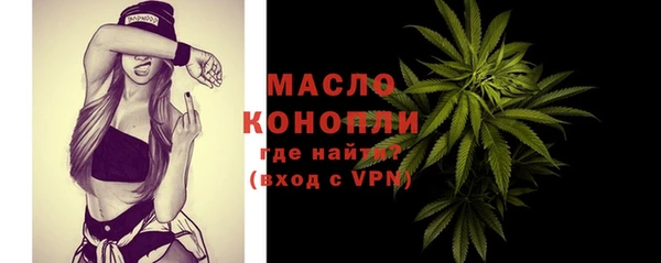 винт Ельня