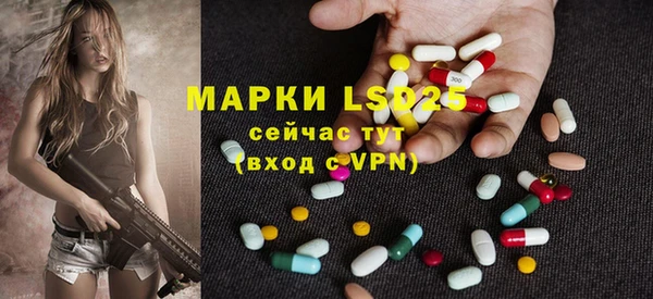 гидра Аркадак
