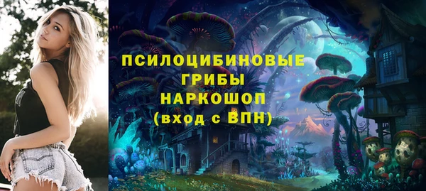 гидра Аркадак